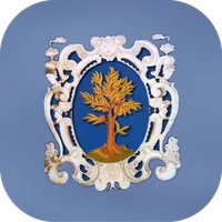 MyCastenedolo icon