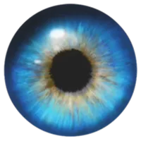 Isidora icon