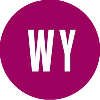 Valves WY icon