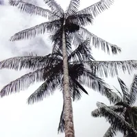 Dicionário Karipuna icon