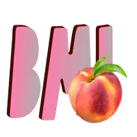 BMI my nutrition icon