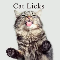 Cat Licks Theme icon