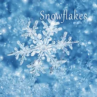 Snowflakes icon