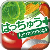 はっちゅう＋ for morinaga icon