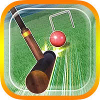 ゲームバラエティーゲートボール_サブスクリプション icon
