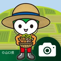やまぐち農業農村整備報告アプリ icon
