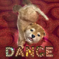 Animal Dance puppies icon