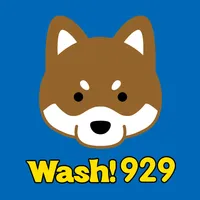 Wash!929 icon