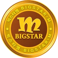 빅스타엠 코인 전자지갑 icon