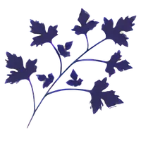 ROJAANA icon