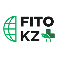 Fito KZ icon