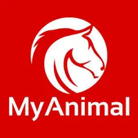 My Animal icon