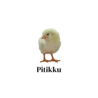 Pitikku (Harga Ayam Broiler) icon