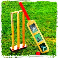 Lessons to play cricket icon