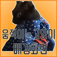 움직이는 고양이 배경화면(CatLiveWallPaper icon
