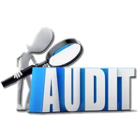 Learn Auditing icon