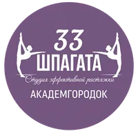 33 шпагата Академ НСК icon