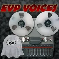 EVP VOICES 2020 icon