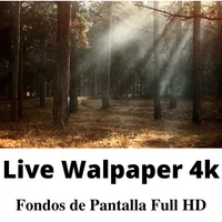 Live WallPaper 4k/HD icon