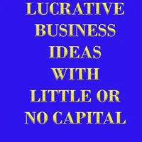 LUCRATIVE BUSINESS IDEAS WITH  icon