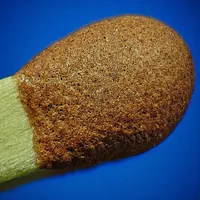 MACRO EXTREMO FOTOS icon