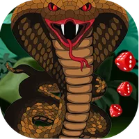 Snakes and Ladders Game icon