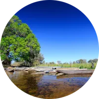 Maun - Wiki icon