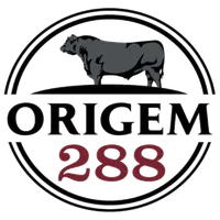 Origem 288 icon
