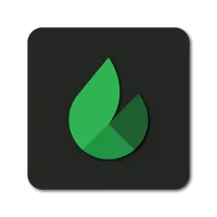 Wireflame - Data Usage Monitor icon