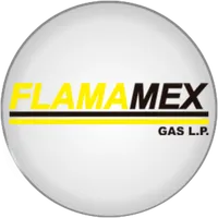 Medidores Flamamex icon