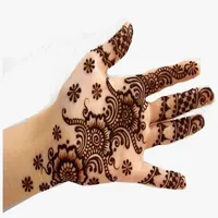 Bridal Mehndi Designs icon