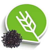 मिरी लागवड #Agrownet™ icon