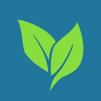 Clean Dibra icon
