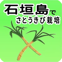 石垣島でさとうきび栽培 icon