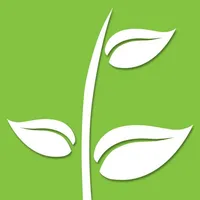 ecoFactura 4.0 icon