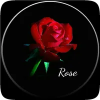 Rose wallpapers and background icon