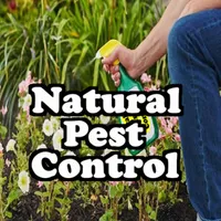 Natural Pest Control icon