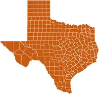 Texas Map Puzzle icon