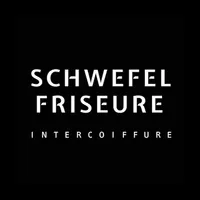 Schwefel Friseure icon