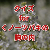 クイズ for くノ一ツバキの胸の内/アニメ検定アプリ icon