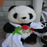 パンダクイズ icon