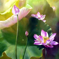 Quê Hương Cực Lạc (audio) icon