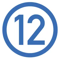 The  Ballot icon