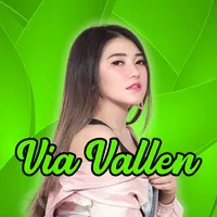 100+ Via Vallen MP3 Offline icon