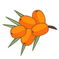 Облепиха icon