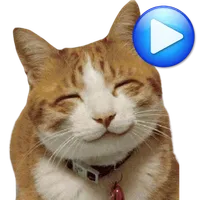 ANIMATED WAstickerApps Cats an icon