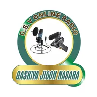 DSV Radio International icon