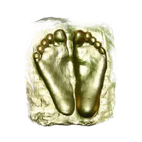 Stichting Abhay Charan icon