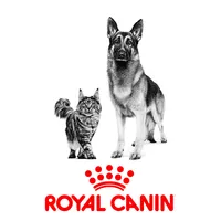 RC Pension & Hotel App icon