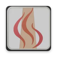 Faber Flue App V2 icon